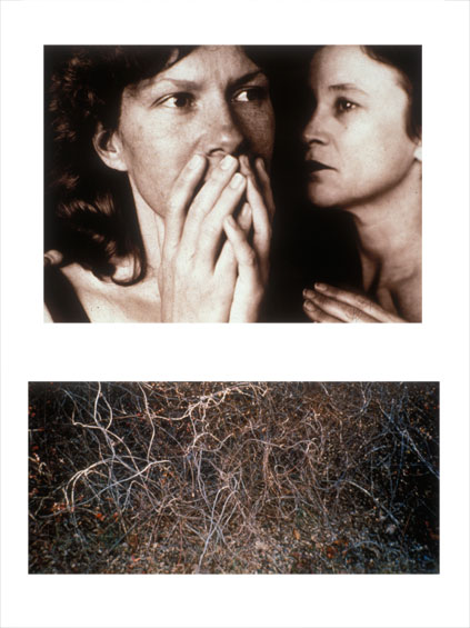 Bruised & Tangled